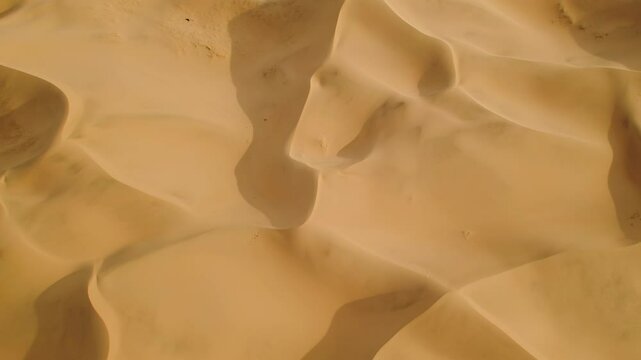 The vast and breathtaking landscapes of the Gobi Desert, showcasing its serene beauty and endless horizons.