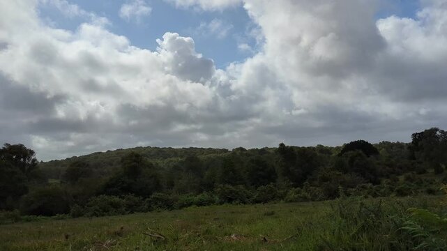 Timelapse of running gray clouds above green forested hills in a windy day
