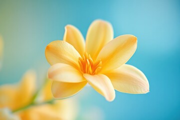 Naklejka premium A single yellow flower in a decorative vase