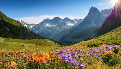 Fototapeta premium Vibrant Wildflowers Bloom Across Mountain Valley