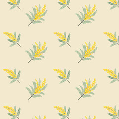 Mimosa flower seamless pattern