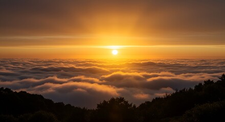 Fototapeta premium Golden sunrise over the horizon, dramatic sun rays piercing through thick clouds, high-resolution, ultra-sharp details, realistic lighting, warm golden tones, cinematic atmosphere, no noise, no blur