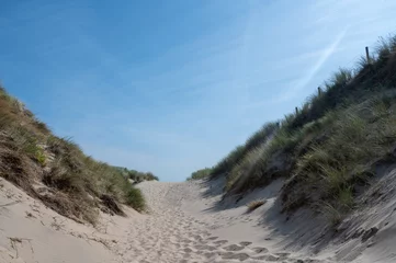 Path through the dunes with beach grass on the North Sea coast