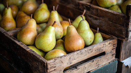 Close-up of pears with a slight sheen, resting in aged wooden crates.