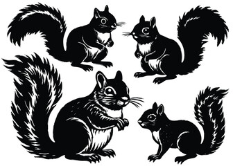 Obraz premium Squirrel Silhouette set black Vector design, Red Squirrel Illustration Vector animal set Design for Printing and Craft Projects