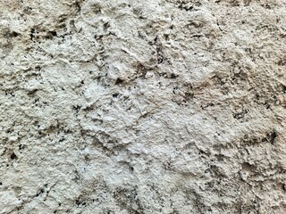 Rough textured white concrete wall creating an abstract background