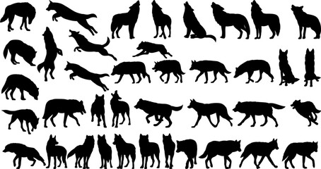 silhouette wolves in different angles collection on white background, vector