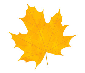 Beautiful Maple Leaf Illustration Painting in Artistic Style