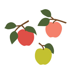 set of fresh ripe apples of different color - vector illustration