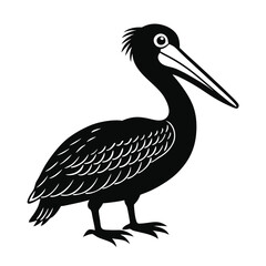 Pelican Vector Illustration 