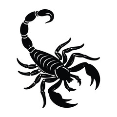  Scorpion Vector Illustration 