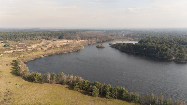 drone photo of the forest in the natural park called Lommeles Sahara in Belgium