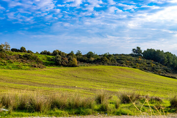 Panoramic landscape with green grass field on hills and blue sky with clouds on a sunny winter day. Mediterranean, Antalya province, Turkey © Vlad Rakin