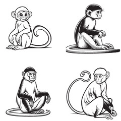 Cute Cartoonic Colobus Monkey Sitting Pose Vector Illustrations