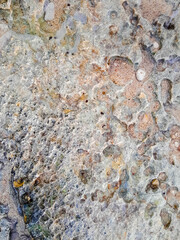 Coastal rocks and sea water as a natural background.