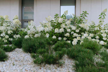 Lush green and white floral arrangement in a serene environment
