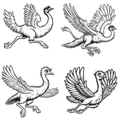 Dynamic Black and White Bird Illustrations - Running and Flying Poses
