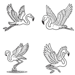 "High-Quality Cute Cartoonic Flamingo Flying Pose Vector Illustrations