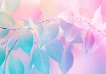transparent skeleton leaves on a blue and pink background. Delicate texture of leaf veins on a colorful background.