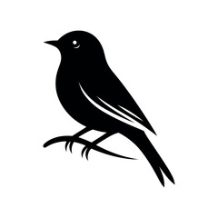 Obraz premium Nightingale Silhouette Vector – Elegant Songbird Illustration in EPS Format