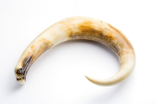 A close-up shot of a ripe banana on a white background, suitable for food or design usage