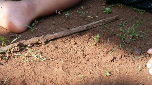 close up of boy's hand playing on the ground. boy playing in the outdoors