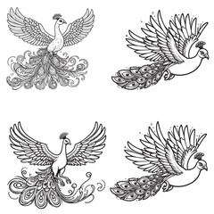 High-Quality Cute Cartoonic Peacock Flying Pose Vector Illustrations