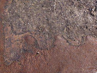 Highresolution image of ancient petroglyphs etched into a weathered, reddishbrown rock surface.