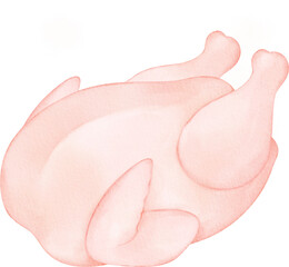 watercolor raw chicken