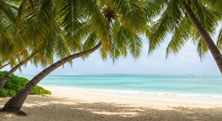 Tropical beach palm trees sand ocean paradise travel