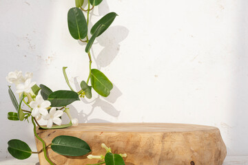 Podium for cosmetic product presentation entwined with green tropical liana plant on abstract...