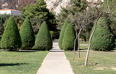 Landscape gardening design in spring park