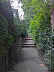 Weg, Treppe, Pfad, Durchgang