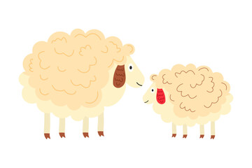 Cute fluffy sheep and little lamb on white isolated background. Delightful farm animal - family in vector cartoon character concept. For postcards, invitations, characters of children's stories.
