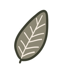 Leaf on white background