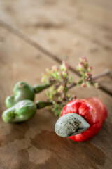 asian whole cashew fruit outdoors in thailand farm