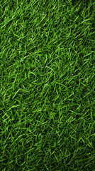 Lush green grass texture with dew drops glistening in sunlight