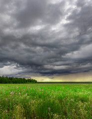 Field of grass with a storm in the distance
