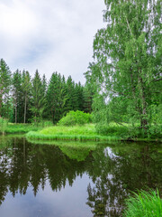 Fototapeta premium Calm lake with a tree in the background