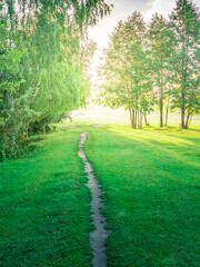 Path through a grassy field with trees in the background