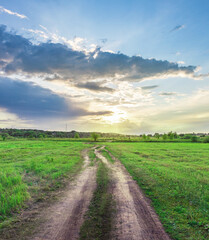 Dirt road in a field with a cloudy sky in the background
