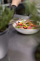 Chef holding gourmet salad