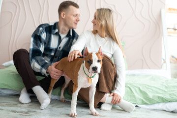 Young couple playing with their dog at home