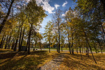 A park with trees and a path