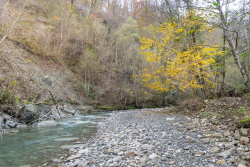 Stream of water flows through a rocky area with trees in the background