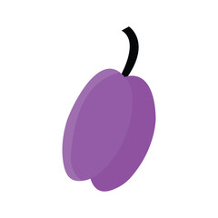 Simple doodle illustration of a purple plum with black stem isolated