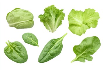 Fototapeta premium Fresh assortment of leafy greens showcasing various textures and