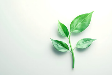 A close-up of a green plant stem with four vibrant leaves, set against a light, muted background. with copy space
