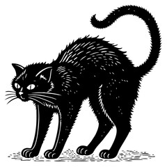 black cat vector illustration