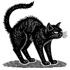 black cat silhouette